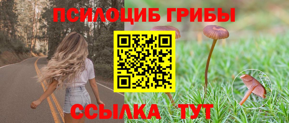Псилоцибиновые грибы Cubensis  Вход с VPN  Симферополь 